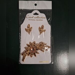 NEW, Carol Collection, Jewelry brooch pin and earing set